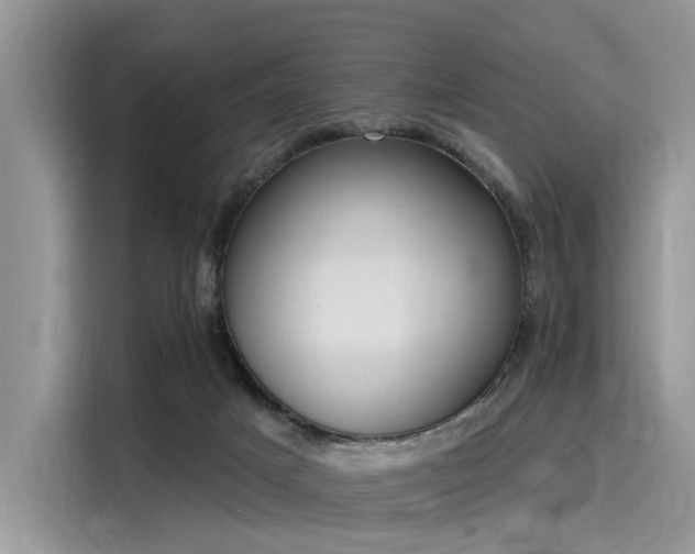 X0000116110025200911301132