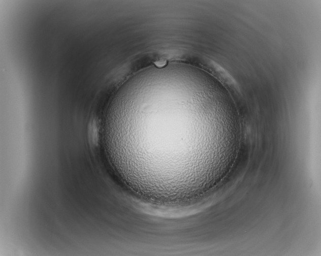 X0000116110026200911301132