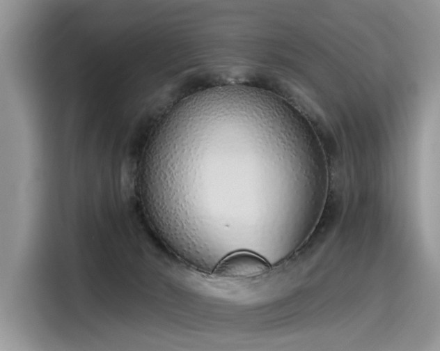 X0000116110030200911301132