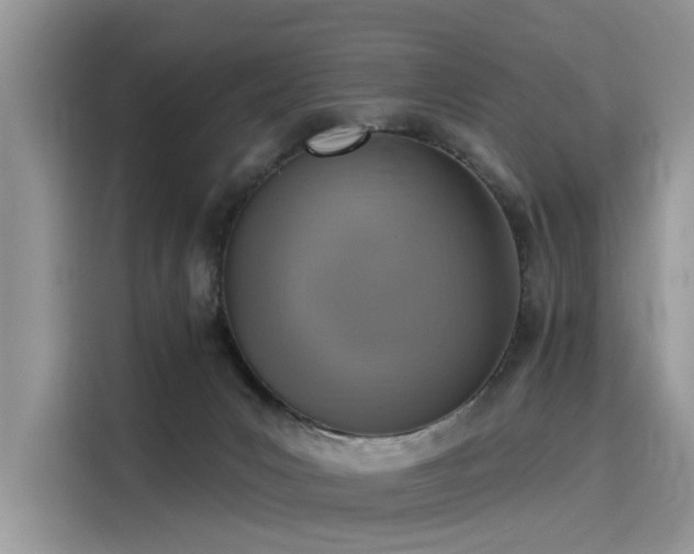 X0000116110031200911301132