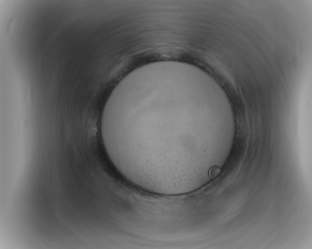 X0000116110032200911301132