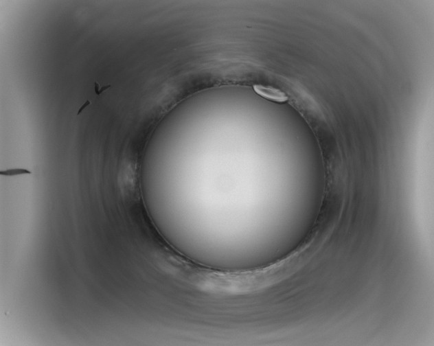 X0000116110033200911301132