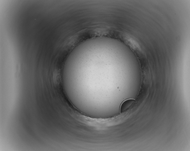 X0000116110034200911301132