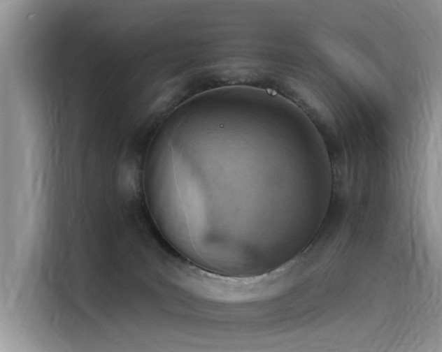 X0000116110035200911301132