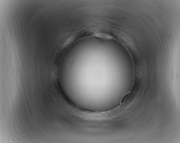 X0000116110036200911301132