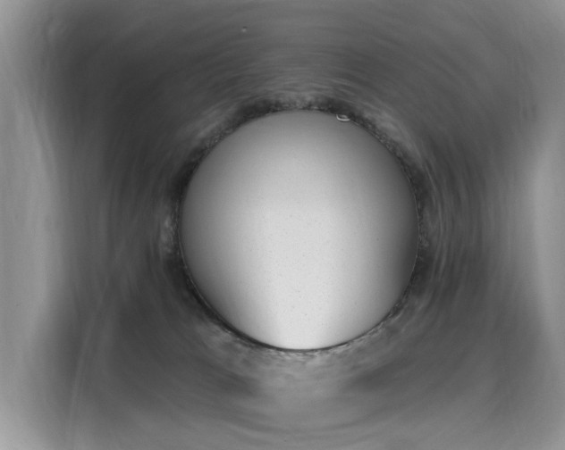 X0000116110037200911301132