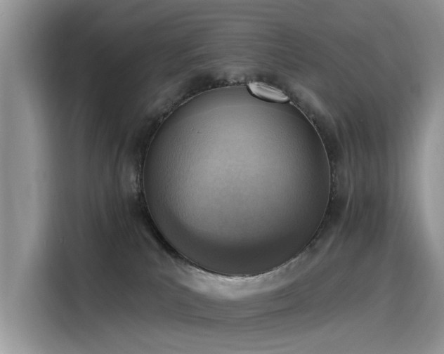 X0000116110039200911301132