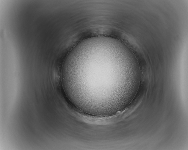 X0000116110040200911301132