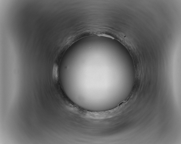 X0000116110041200911301132