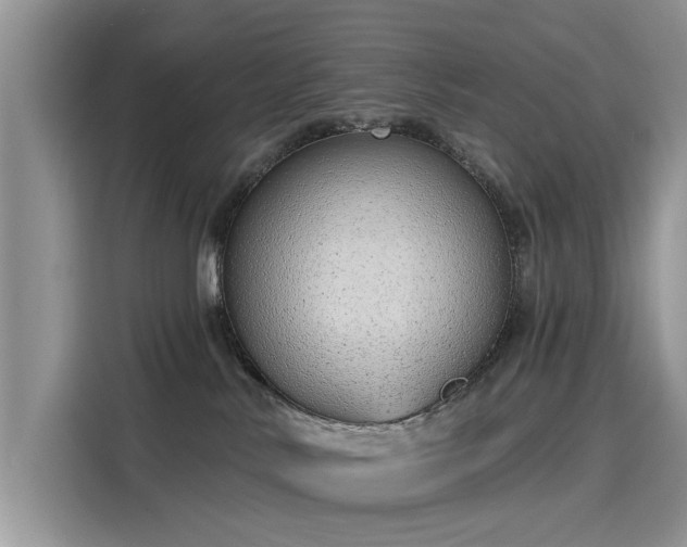 X0000116110042200911301132