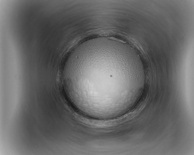 X0000116110044200911301131