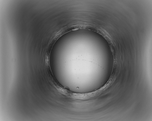 X0000116110045200911301131