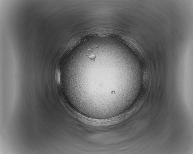 X0000116110046200911301131