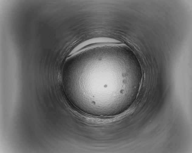 X0000116110048200911301131