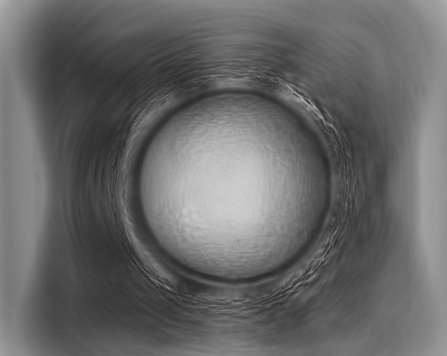 X0000116110049200911301131