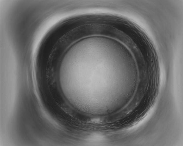 X0000116110050200911301131