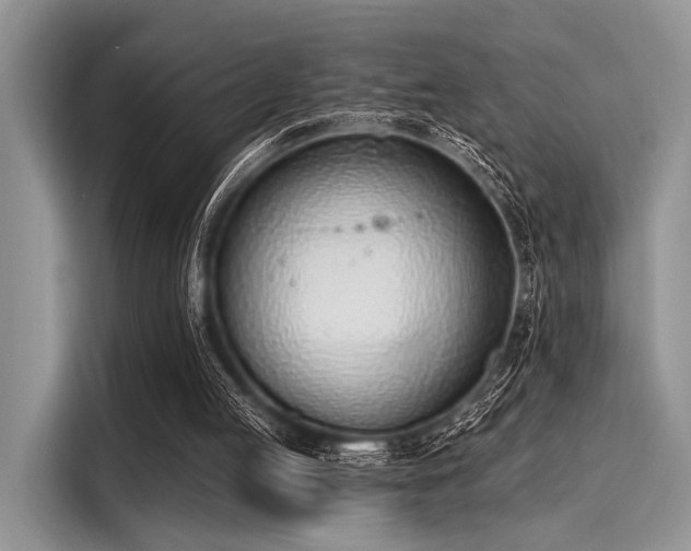 X0000116110053200911301131