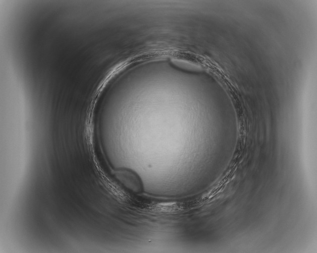 X0000116110054200911301131