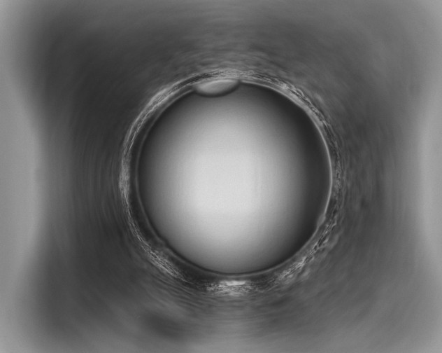 X0000116110055200911301131