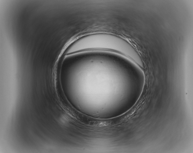 X0000116110056200911301131