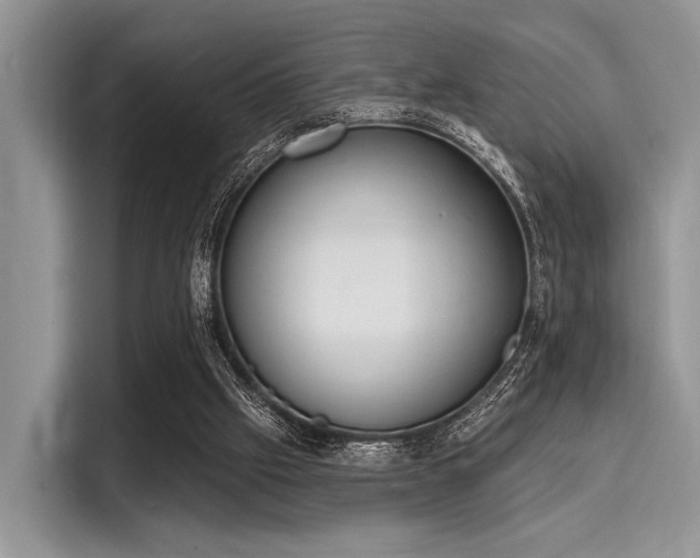 X0000116110057200911301131