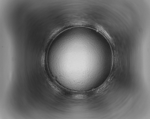 X0000116110058200911301131