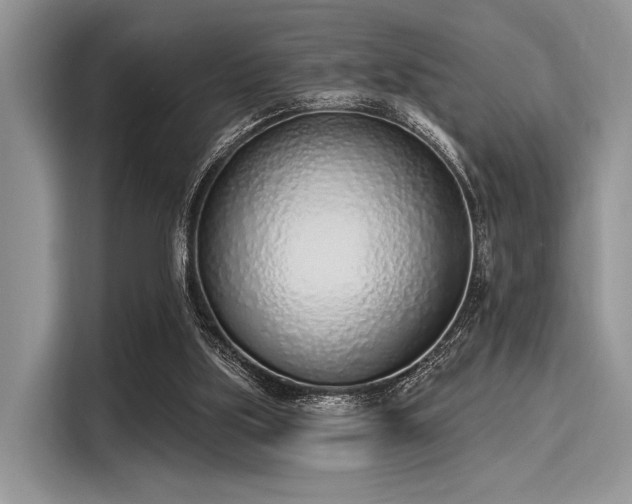 X0000116110059200911301131