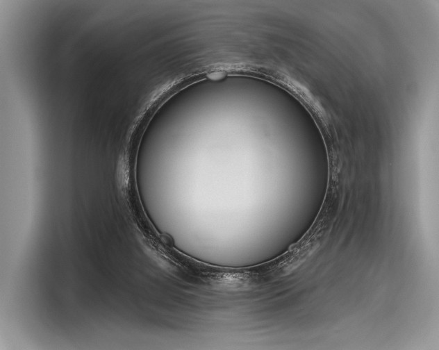 X0000116110060200911301131