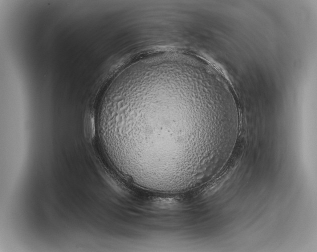 X0000116110061200911301131