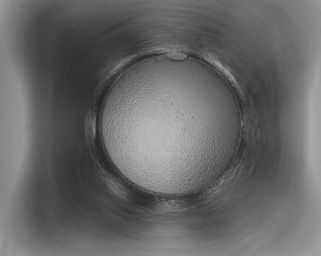 X0000116110062200911301131