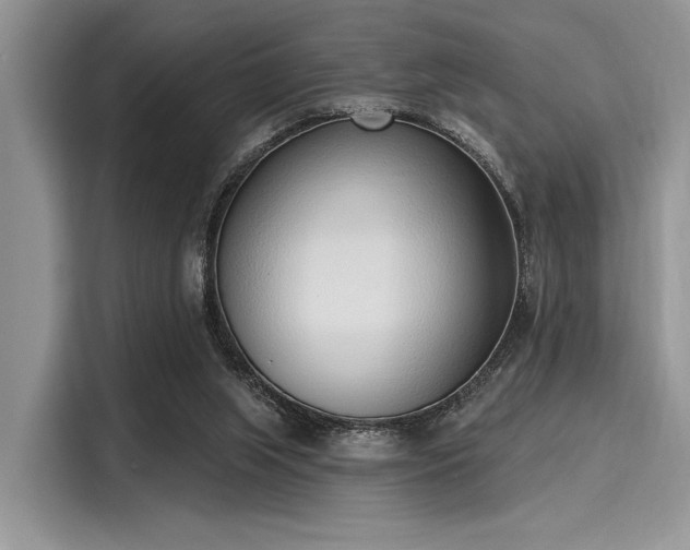 X0000116110063200911301131