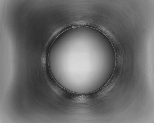 X0000116110064200911301131