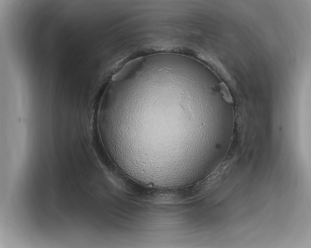 X0000116110066200911301131