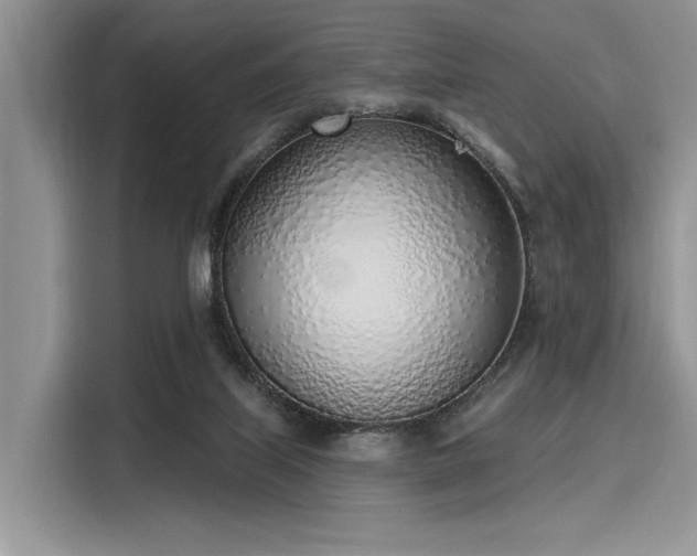 X0000116110067200911301131