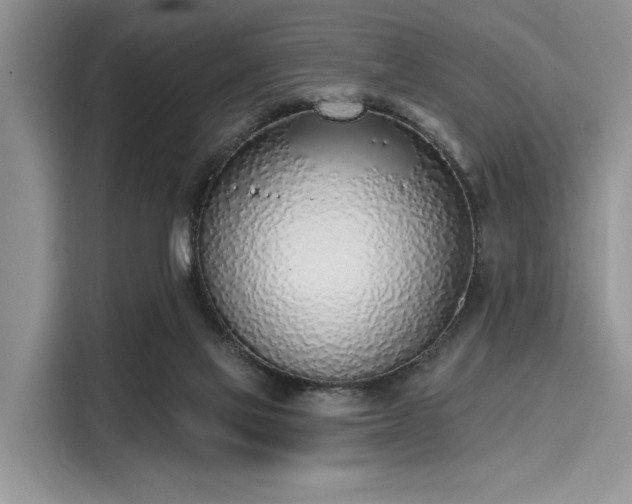 X0000116110069200911301131