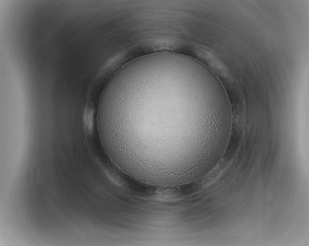 X0000116110070200911301131