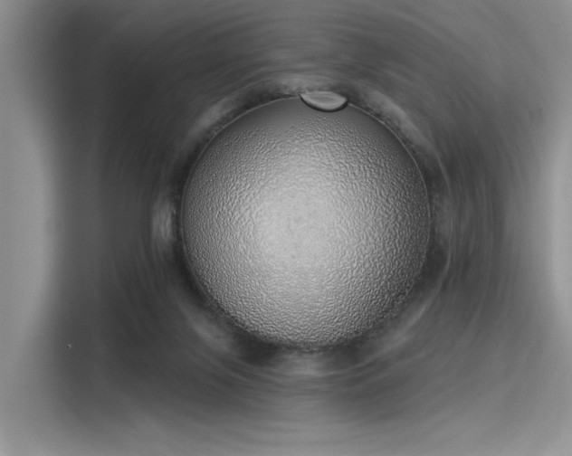 X0000116110071200911301131