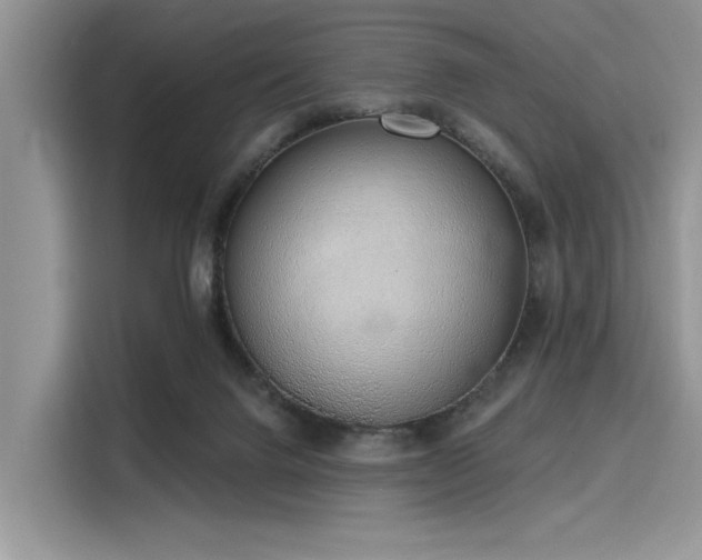 X0000116110072200911301131