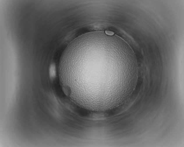 X0000116110075200911301131