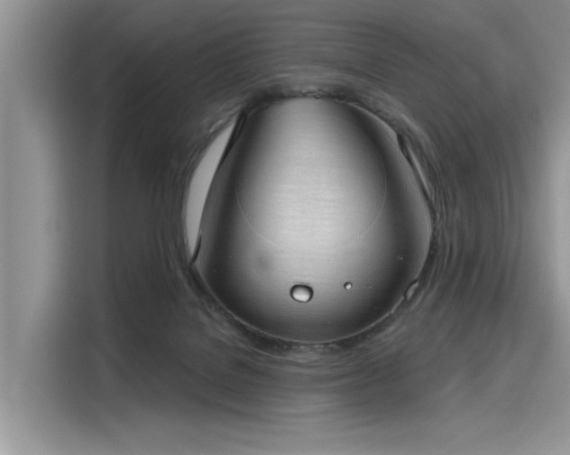 X0000116110076200911301131