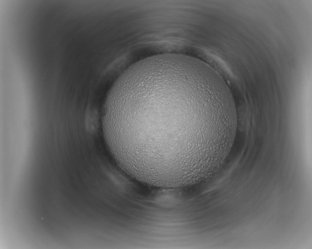 X0000116110077200911301131