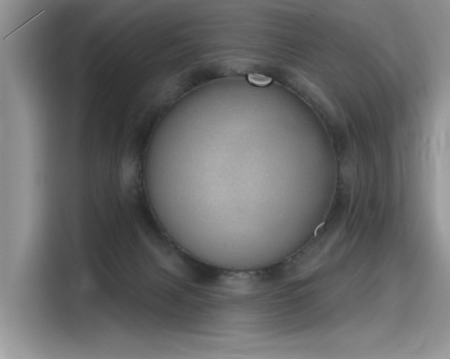 X0000116110079200911301131