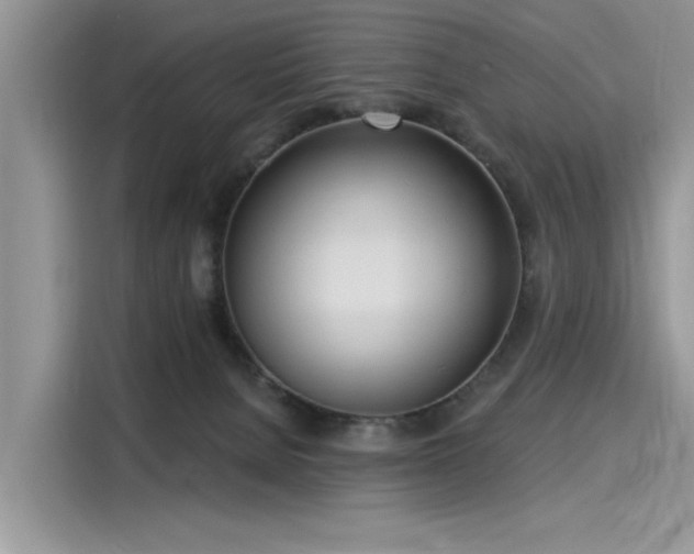 X0000116110080200911301131