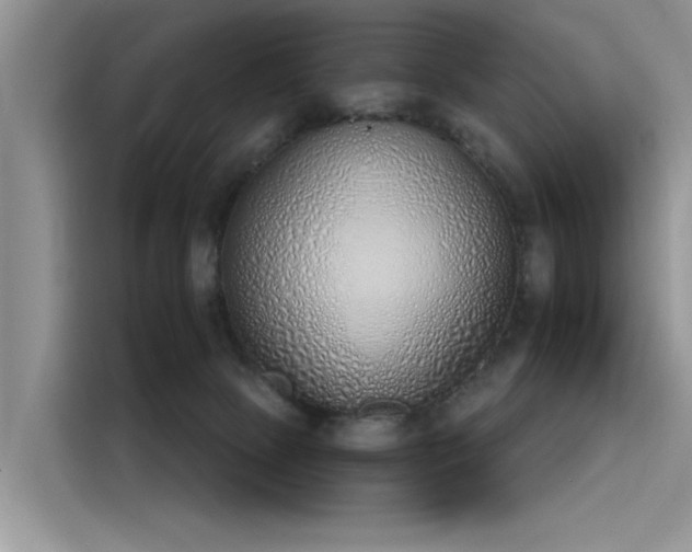 X0000116110081200911301131