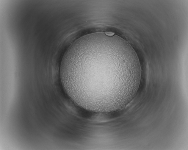 X0000116110082200911301131