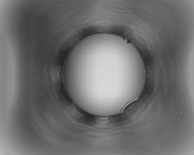 X0000116110083200911301131