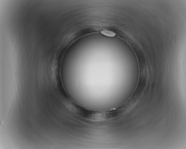 X0000116110084200911301131