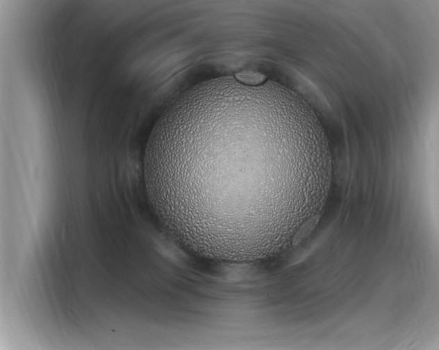 X0000116110085200911301131