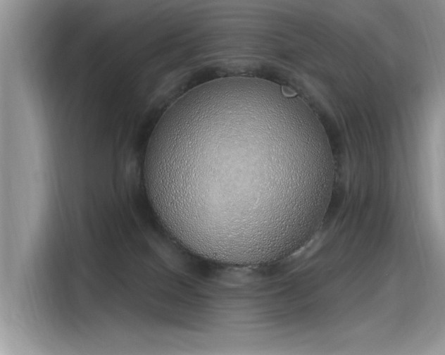 X0000116110086200911301131