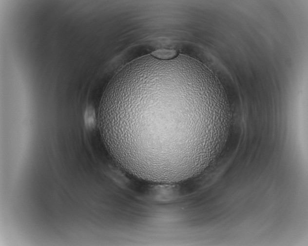 X0000116110089200911301131